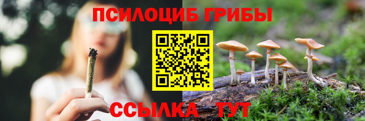 Псилоцибиновые грибы мухоморы  купить наркоту  Благовещенск  Вход с VPN 
